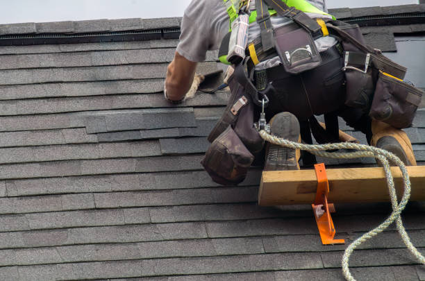 Professional Roofing Services in Steele Creek, AK