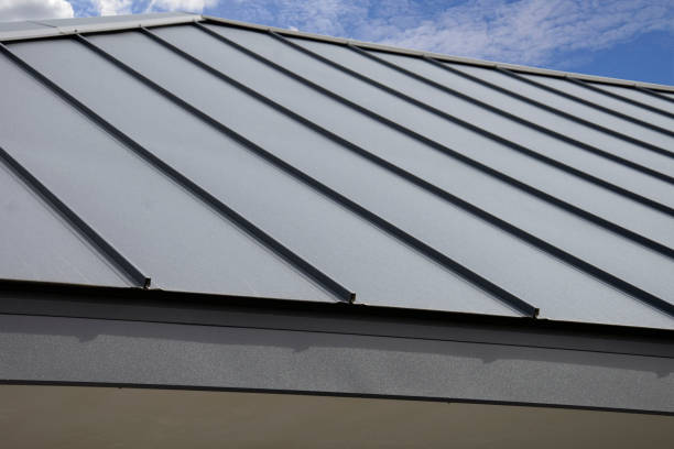 Steel Roofing in Steele Creek, AK